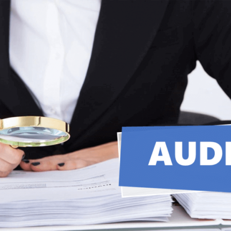 characteristic-of-auditor