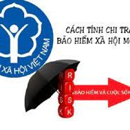 BHXH 1Lan