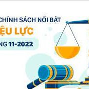chính sách mới