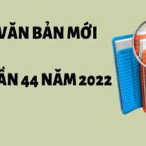 diem-tin-tuan