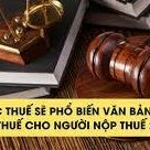 văn bản QPPL mới 2024