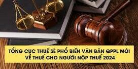 văn bản QPPL mới 2024
